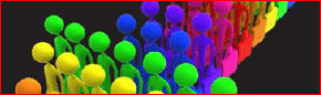 Visit our site