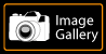 Image Gallery