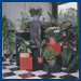 Floral Cubes