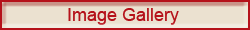 Visit our online gallery